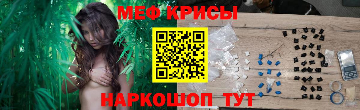 МЕФ  Коряжма