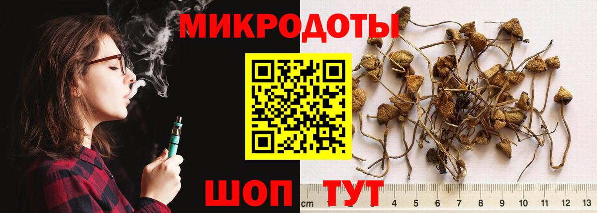Коряжма  Галлюциногенные грибы Psilocybe  Вход с VPN 